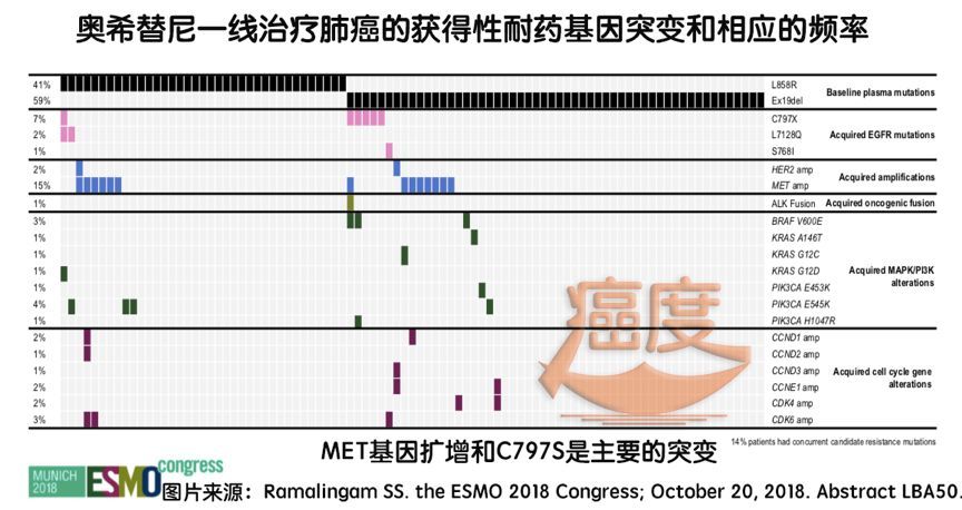 奥希替尼最新价格及其市场影响分析