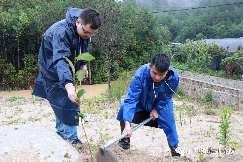 龙陵县自然资源和规划局最新发展规划概览