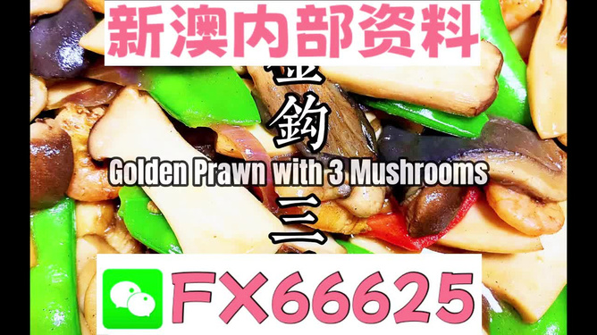 新澳天天开奖资料大全1050期,精细化方案实施_动态版43.586