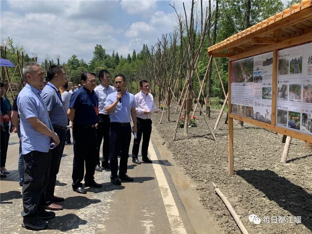 都江堰市住建局最新发展规划概览