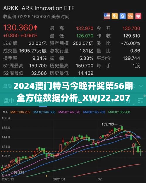 2024年澳门今晚开特马,迅捷解答计划执行_iPad62.970