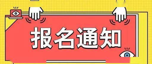 龙泉最新招聘动态与就业市场深度解析