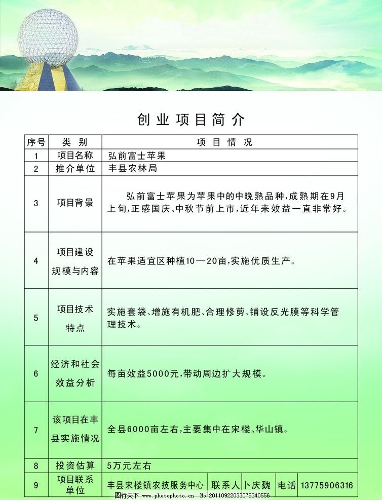 创业新项目探索，未来无限可能性之门