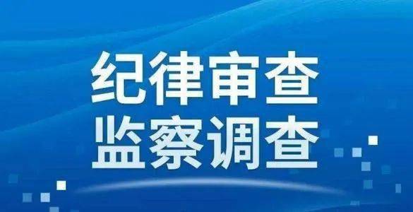 水磨沟区科学技术和工业信息化局招聘启事概览