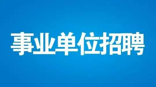 景德镇最新司机招聘，探索职业机遇，携手共筑未来