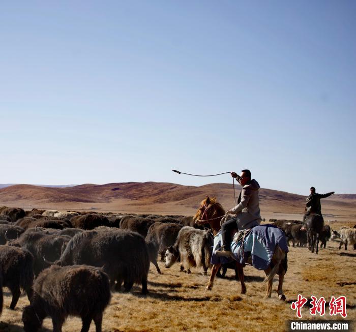 河南蒙古族自治县自然资源和规划局招聘启事新鲜出炉