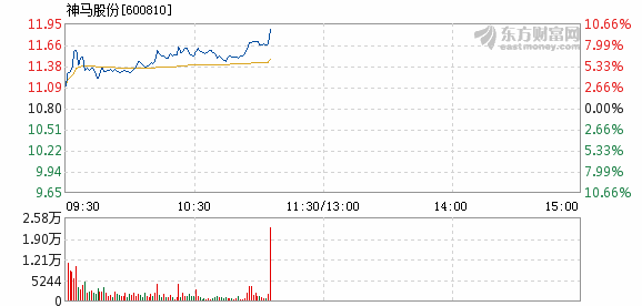 神马股份最新动态全面解析