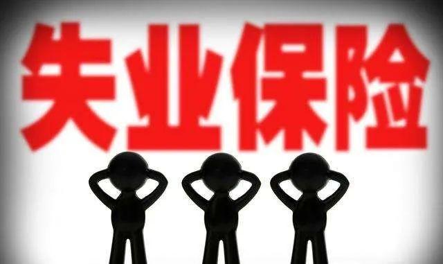 辽阳县人力资源和社会保障局最新项目概览与动态