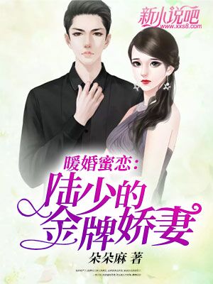 陆少暖婚新妻，爱情深度与生活温度的交织