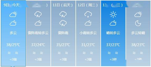 2024年12月29日 第3页