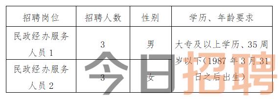 两林乡最新招聘信息全面解析