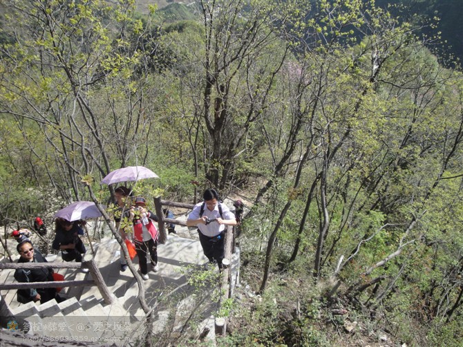 天竺山林场最新动态报道