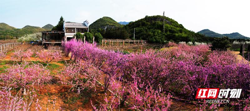 花塘乡最新发展规划