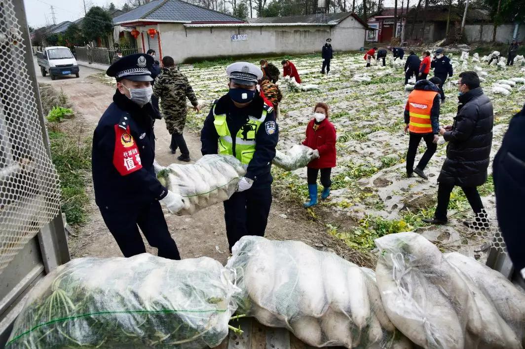 武汉市农业局最新招聘启事概览