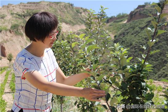 慕塬村委会新任领导团队，乡村发展的核心力量引导者